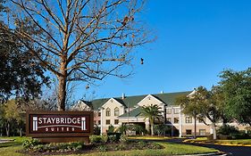 Staybridge Suites Orlando South By Ihg